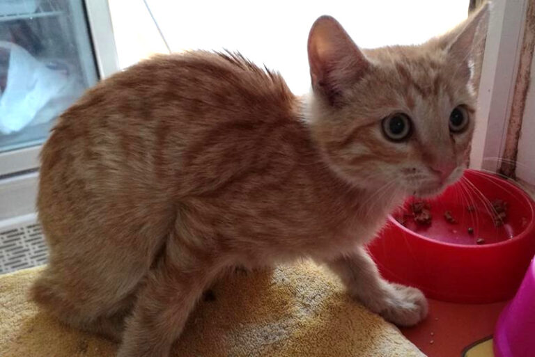 multimedia-foto57945-753-1