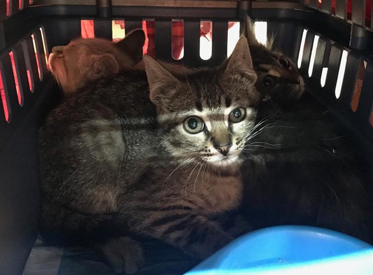 multimedia-foto57960-326-1