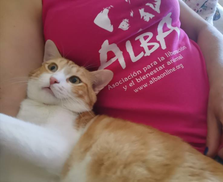 multimedia-foto57961-747-1