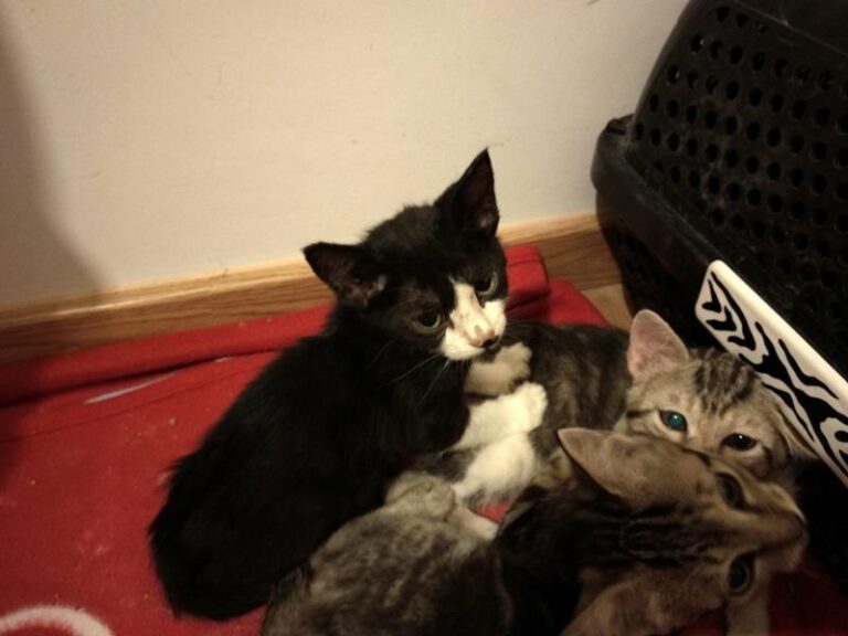 multimedia-foto57963-790-1