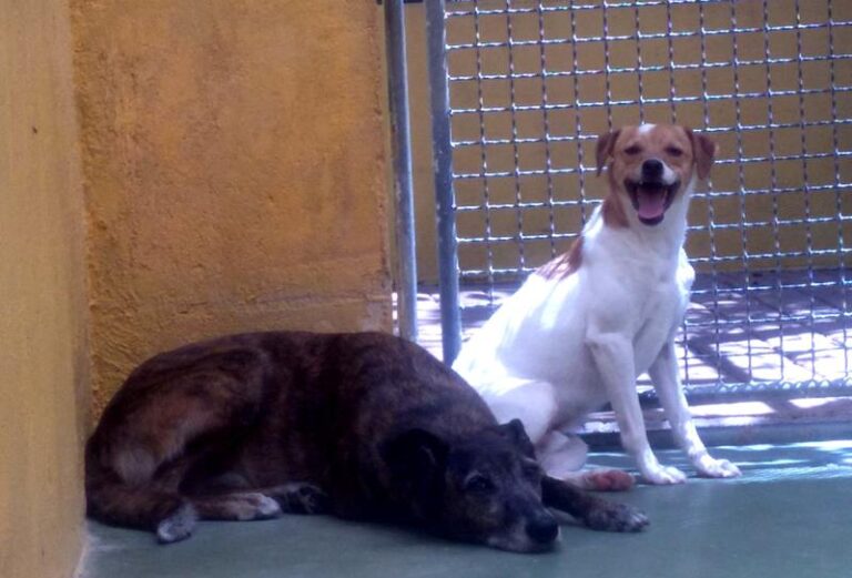 multimedia-foto57969-197-3