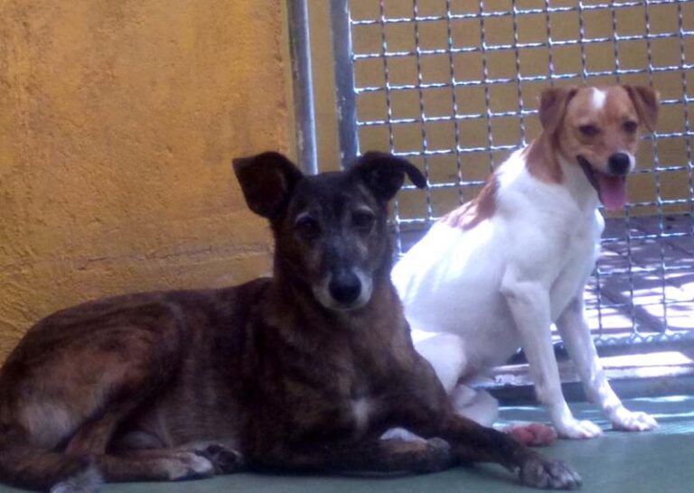 multimedia-foto57971-221-3