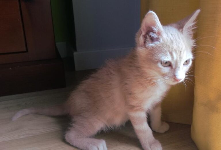 multimedia-foto57979-612-1