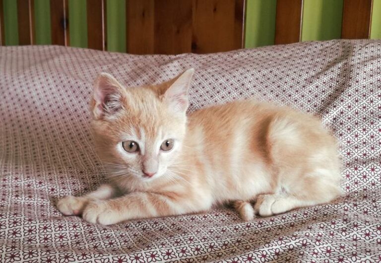 multimedia-foto57981-612-1