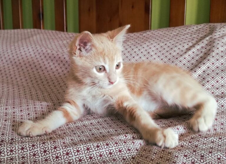 multimedia-foto57982-612-1