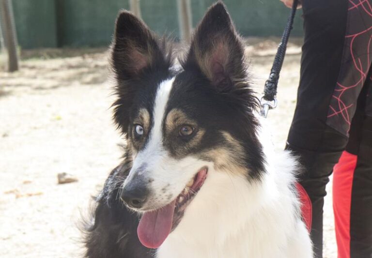 multimedia-foto57992-246-1