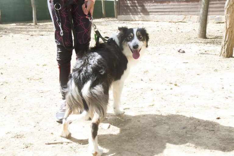 multimedia-foto57994-246-1