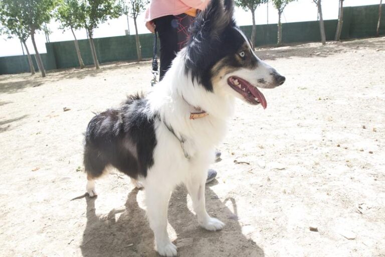 multimedia-foto57995-246-1