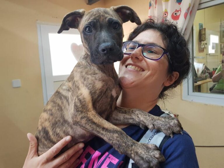 multimedia-foto57997-923-1