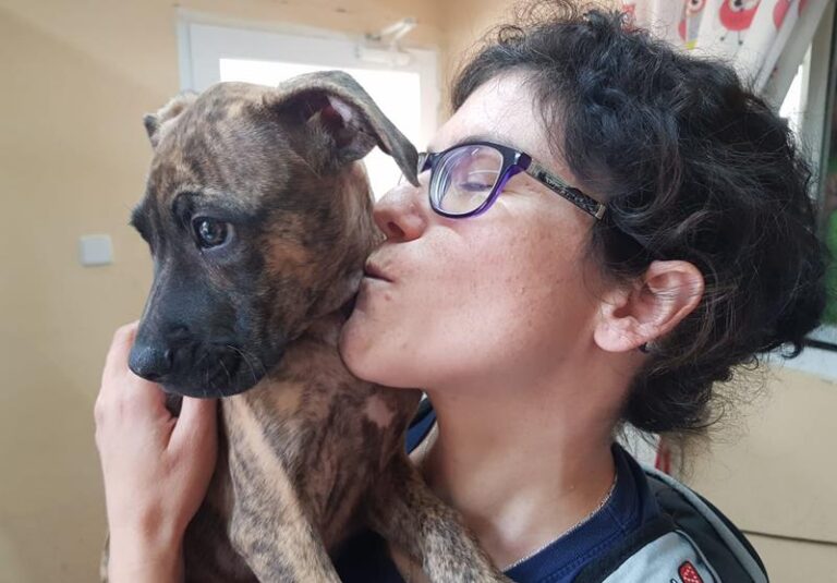 multimedia-foto57998-923-1