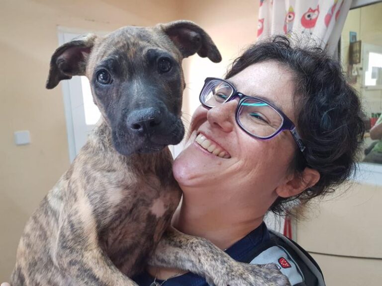 multimedia-foto57999-923-1