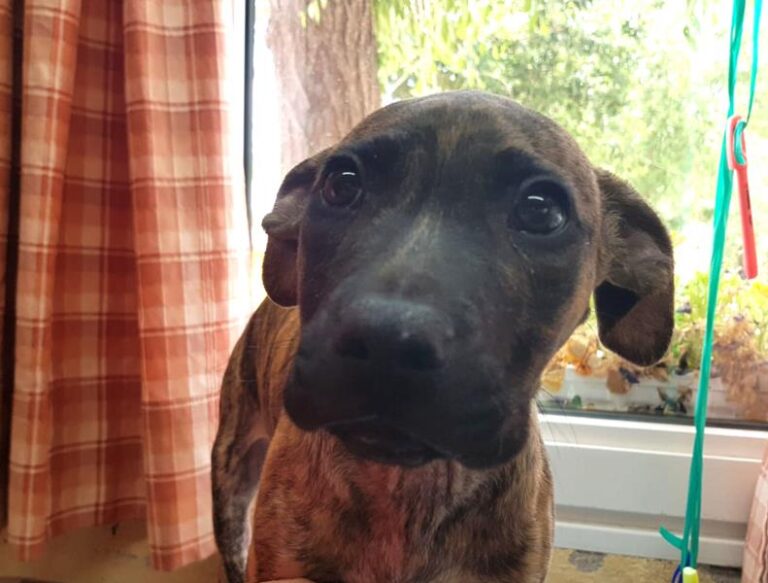 multimedia-foto58000-923-1