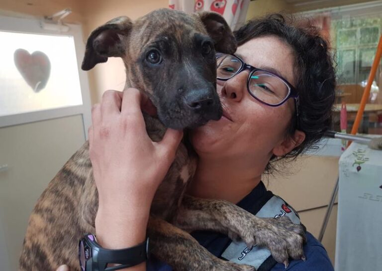 multimedia-foto58003-924-1