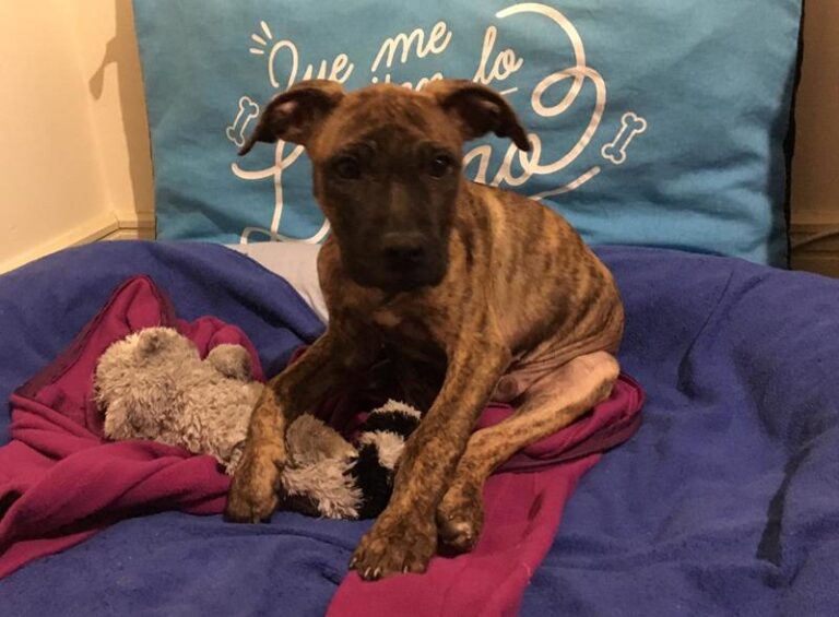 multimedia-foto58004-924-1