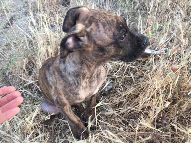 multimedia-foto58005-924-1