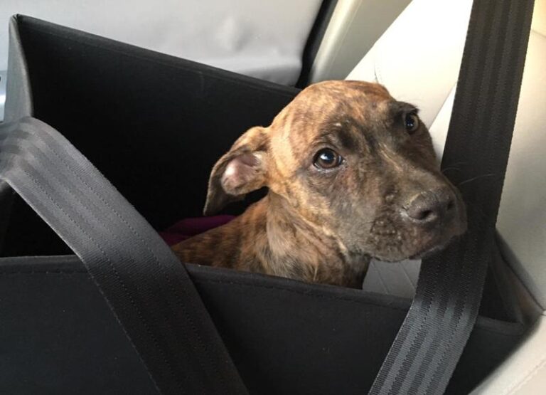 multimedia-foto58006-924-1