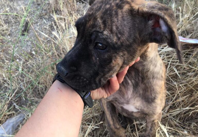 multimedia-foto58007-924-1