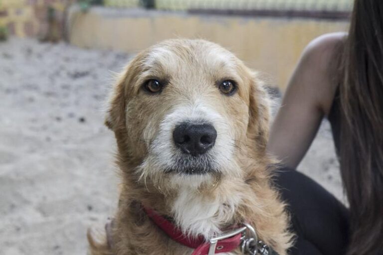 multimedia-foto58008-234-1