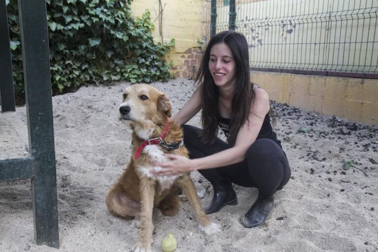 multimedia-foto58009-235-1