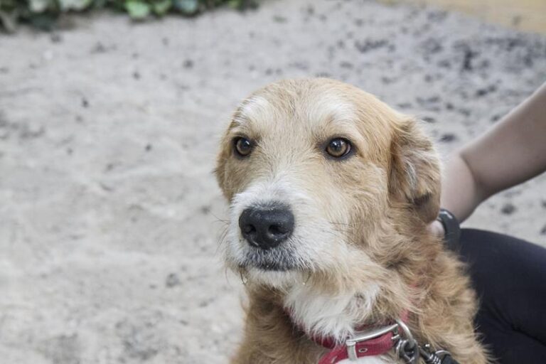 multimedia-foto58010-235-1