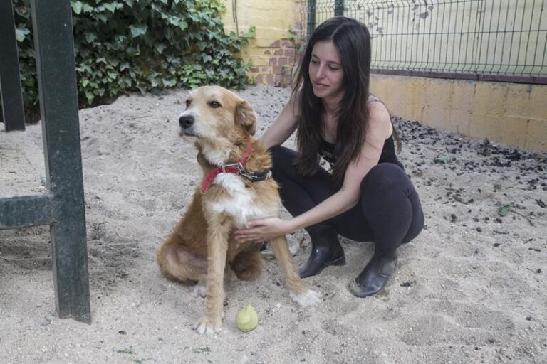 multimedia-foto58011-235-1