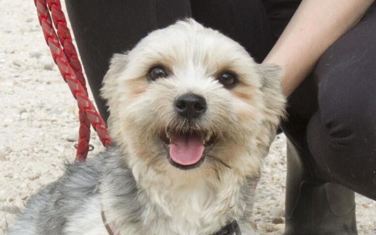 multimedia-foto58029-980-1