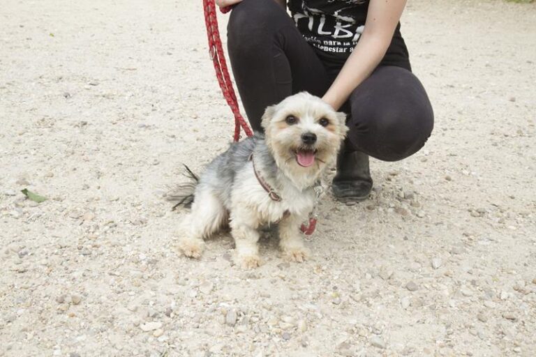 multimedia-foto58030-981-1