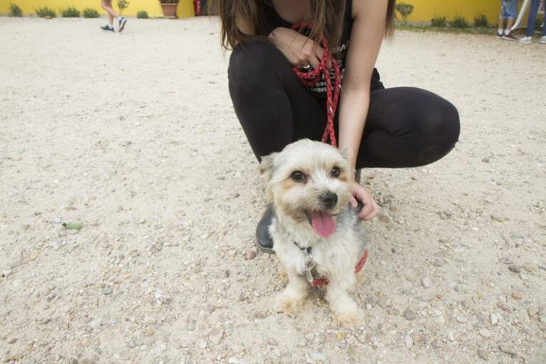 multimedia-foto58031-981-1