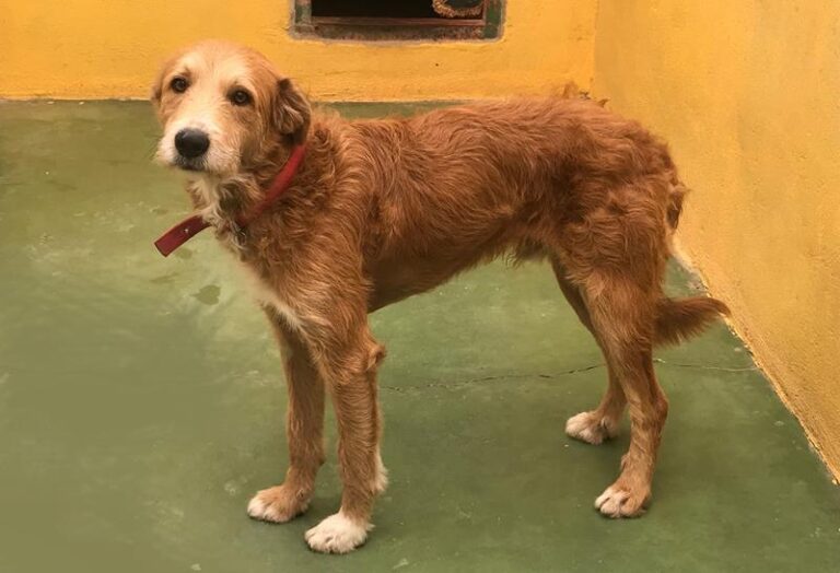 multimedia-foto58088-268-1