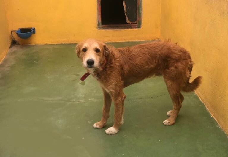 multimedia-foto58089-268-1