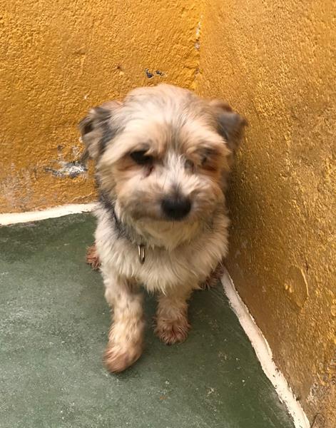 multimedia-foto58097-453-1