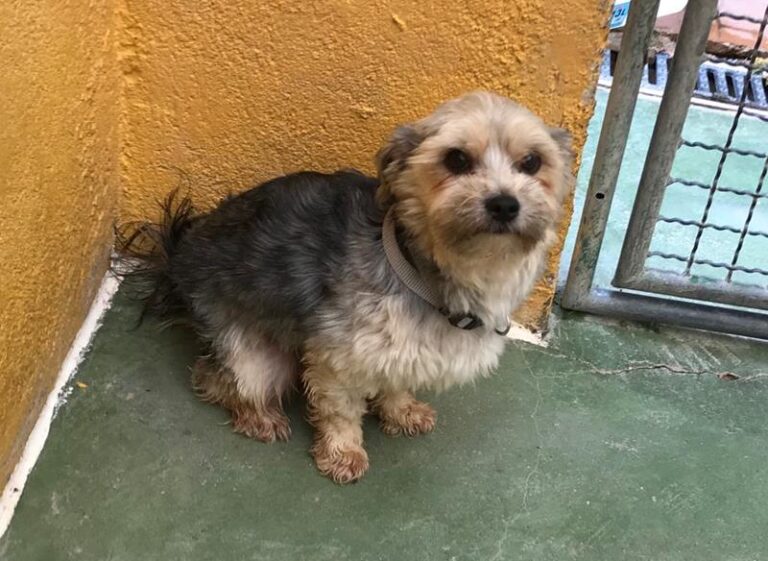 multimedia-foto58098-453-1