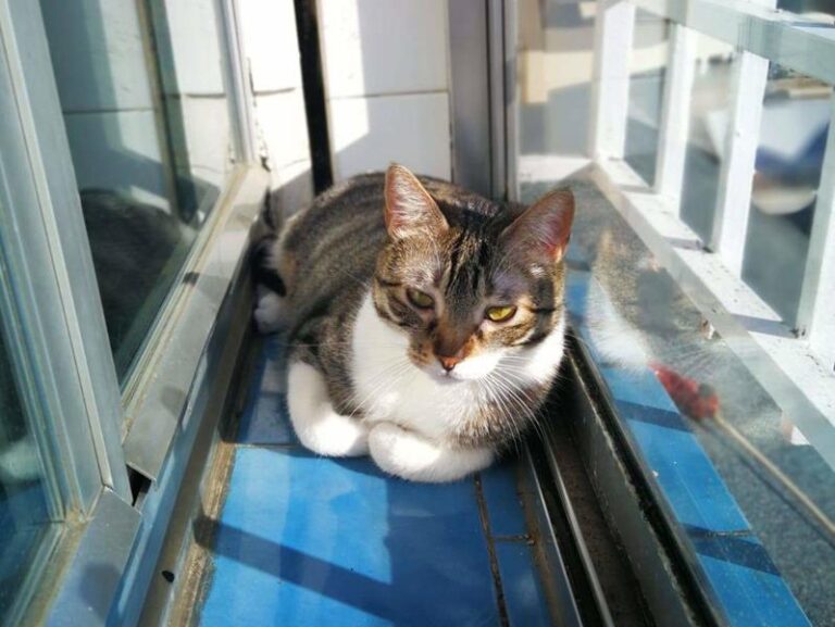 multimedia-foto58113-709-1