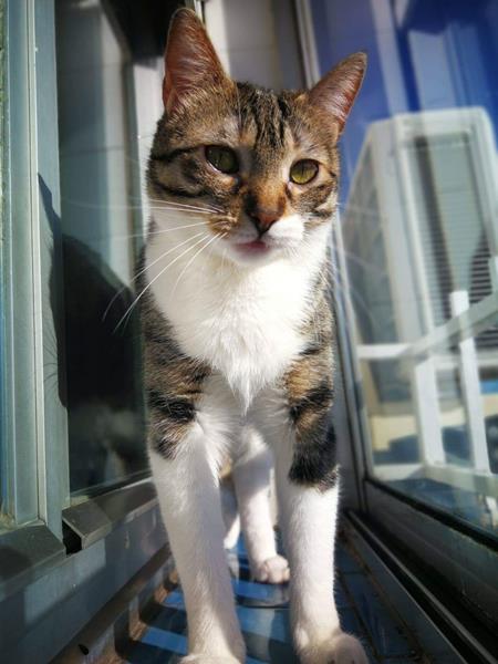 multimedia-foto58126-756-1