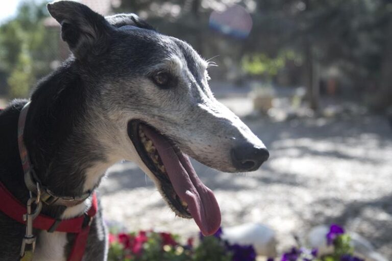 multimedia-foto58139-323-3