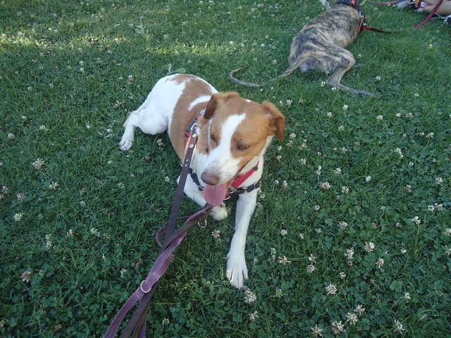 multimedia-foto58156-726-3