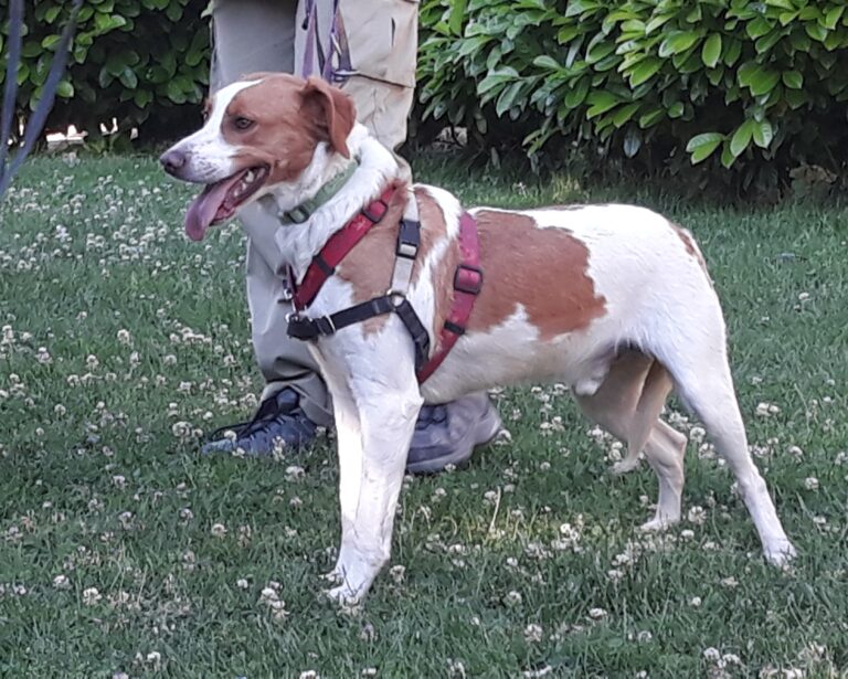 multimedia-foto58158-727-3