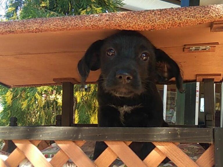 multimedia-foto58172-406-1