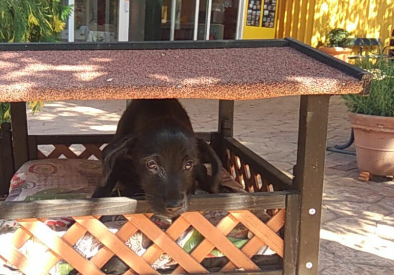 multimedia-foto58173-406-1