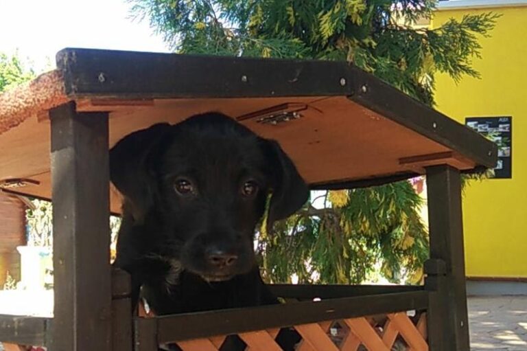 multimedia-foto58174-407-1