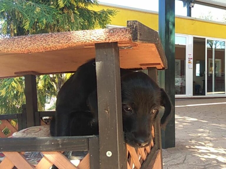 multimedia-foto58175-407-1