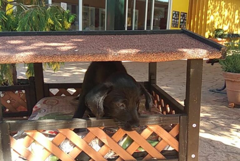 multimedia-foto58176-407-1