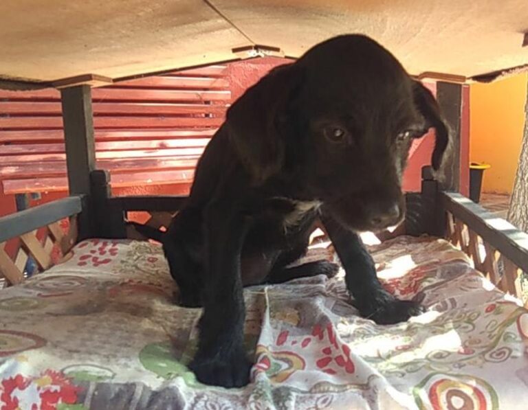 multimedia-foto58177-407-1