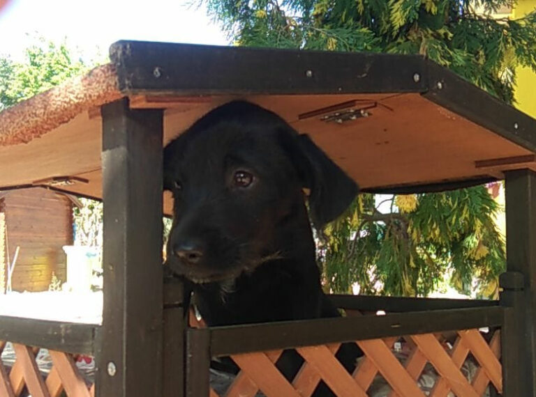 multimedia-foto58178-407-1