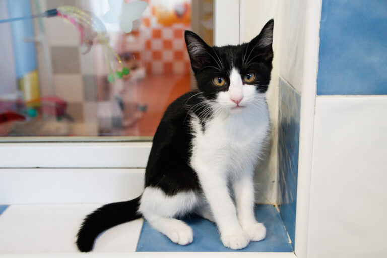 multimedia-foto58204-169-1