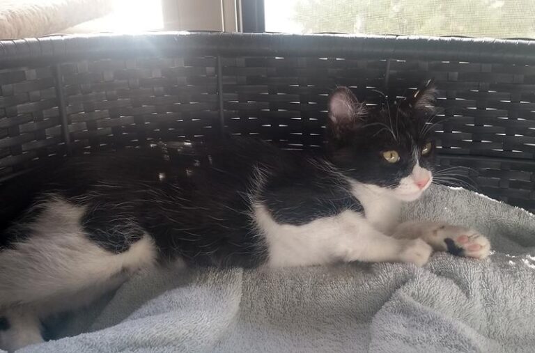 multimedia-foto58271-450-1