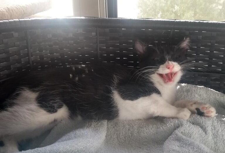 multimedia-foto58272-450-1