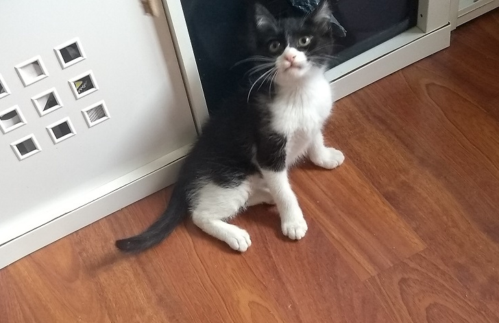 multimedia-foto58275-451-1