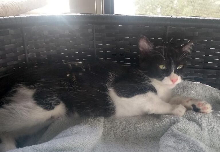 multimedia-foto58276-451-1