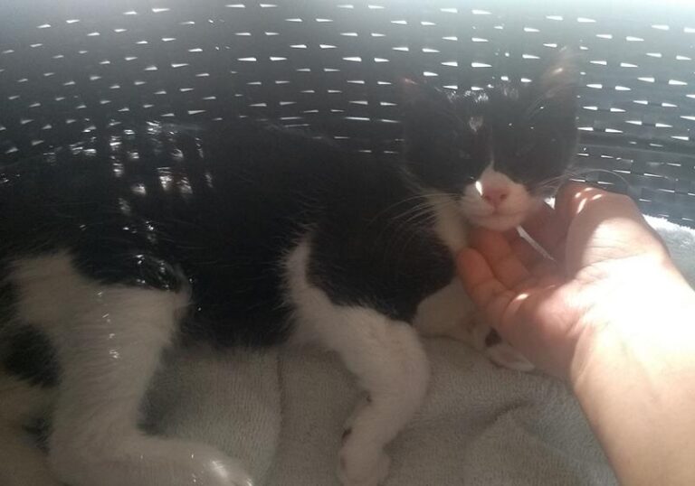 multimedia-foto58277-451-1